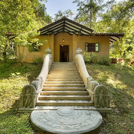 Tree Of Life Nature Resort-2